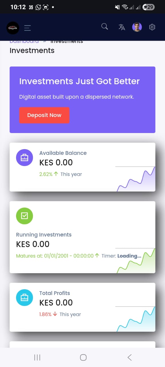 Investment Website